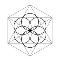 semilla de vida. ilustración de vector de geometría sagrada