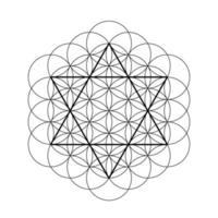estrella de david con flor de vida. símbolo de la geometría sagrada. vector