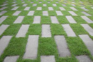 The Cement tiles between green grass background. Green grass and cement pavement. photo