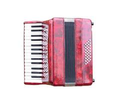 Red accordian isolated on white background photo