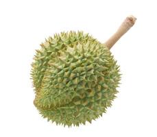 Green fresh durian isolated on white background photo