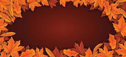 Fall Leaves Background vector