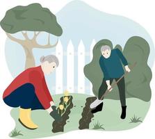 elderly woman and man planting flowers in the garden vector