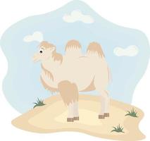 ilustración de un camello en el desierto vector