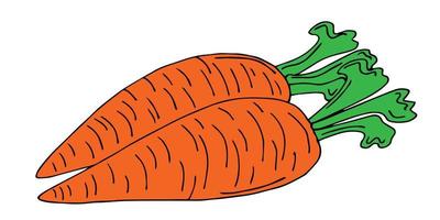 Carrot vector drawing icon. Vegetable in retro style, outline illustration of farm product for design advertising products shop or market.