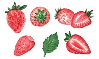 Set of watercolor strawberries, whole berries and cut. Vector illustrationSet of watercolor strawberries, whole berries and cut. Vector illustration