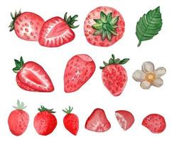 Watercolor set of hand painted strawberries and green leaves. Watercolor stain. Vector illustration.