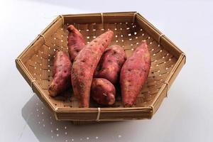 Baby Mini Red Sweet Potato Ubi Merah Isolated on White Background. Copy Space for Text photo
