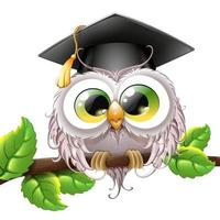 Owl in graduate cap on tree branch vector