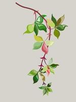 A branch of many shades of green and red-pink color leaves. Flat vector, isolate image. vector