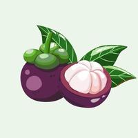 The whole purple color king of fruit and a half Mangostreen with green leaves show reflex of light and shadow. Flat vector isolates image.