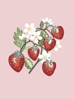 Branches of cute red strawberries, small white flowers and strawberry' leaves with white color outline, hand drawn flat vector retro style, isolated image.