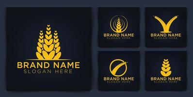 diseño de logotipo de agricultura de grano de trigo. ilustración vectorial