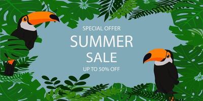 Summer sale banner with tropical leaves and toucans. vector