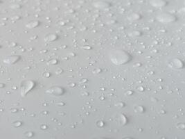 Water droplets on a white background. For background about drizzling rain with natural drops. photo