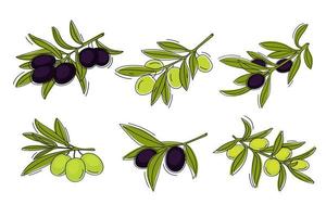 Set of olive branches. vector