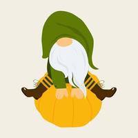 Gnome in a green cap and with a long beard is sitting on a pumpkin. vector