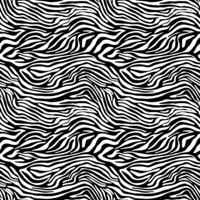 Vector animal print. Zebra ornament. Seamless pattern