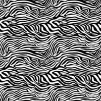 Vector animal print. Zebra ornament. Seamless pattern
