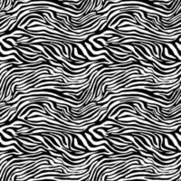 Vector animal print. Zebra ornament. Seamless pattern