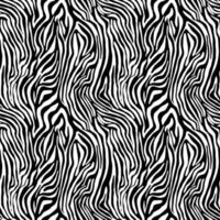 Vector animal print. Zebra ornament. Seamless pattern