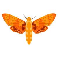 Butterfly vector illustration clipart. Cute Butterfly isolated.