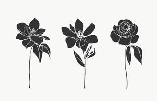 Flowers and botanical leaves art. beautiful hand drawn exotic plants on white background. abstract modern or minimal plants line for posters. vector design