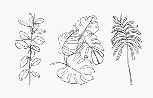 Hojas de línea de monstera de palma tropical y arte de hojas botánicas. hermosas plantas exóticas dibujadas a mano sobre fondo blanco. línea abstracta de plantas modernas o mínimas para carteles. diseño vectorial vector