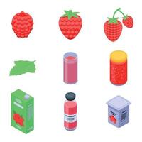 Raspberry icons set, isometric style vector