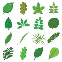 Green leafs icons set, cartoon style vector