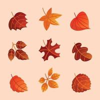 hojas caídas de color rojo blanco en el icono de otoño vector