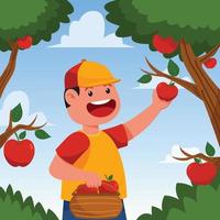 Apple Picking At The Garden vector