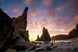 Olympic national park landscape in usa photo