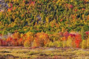 otoño en el parque nacional acadia, maine, estados unidos foto