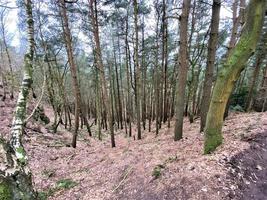 A view of the Cheshire Countryside at Bickerton photo