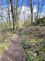 A view of the Cheshire Countryside at Bickerton photo