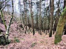 A view of the Cheshire Countryside at Bickerton photo