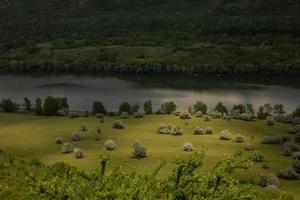 fotografía con la hermosa naturaleza de moldavia en verano. paisaje en europa. foto