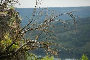 Photography with beautiful nature from Moldova in summer. Landscape in Europe. photo