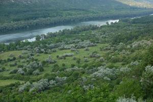 fotografía con la hermosa naturaleza de moldavia en verano. paisaje en europa. foto
