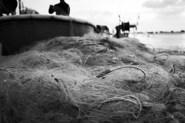 Fishing Line Stock Photos, Images and Backgrounds for Free
