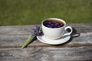 Tea time, Cup of tea. photo