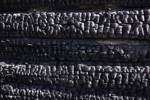 Natural fire ashes with dark grey black coals texture. It is a flammable black hard rock. copyspace photo