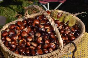 Chestnuts in a braided basket photo