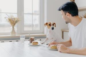 tiro horizontal del hombre y el perro comen juntos, posan en la mesa de la cocina contra una gran ventana, se miran, tienen una buena relación, disfrutan del ambiente doméstico. hogar, animales, concepto de nutrición foto