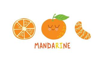 alegres personajes de dibujos animados de mandarina ambientados en un estilo plano. ilustración vectorial aislado sobre fondo blanco vector