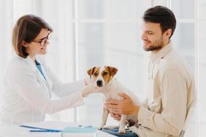 Young veteranian woman examines jack russel terrier dog, works in animal clinic, talks with male owner, pose indoor. Pedigree dog examined by professional vet. Medical examination for animals photo