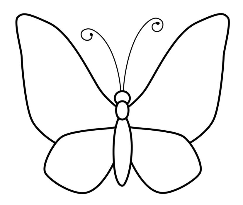 Butterfly Outline Vector Art Icons and Graphics for Free Download Butterfly Outline Vector Art Icons and Graphics for Free Download
