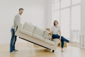 Move into new home. Husband and wife carry sofa, furnish living room after renovation, happy to buy apartment, lovely pet poses on couch, work together as team, place furniture in empty room photo