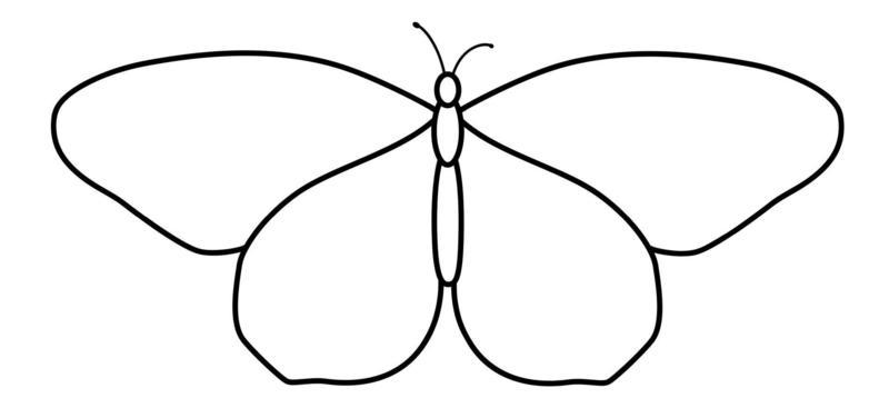 Butterfly Outline Vector Art, Icons, and Graphics for Free Download